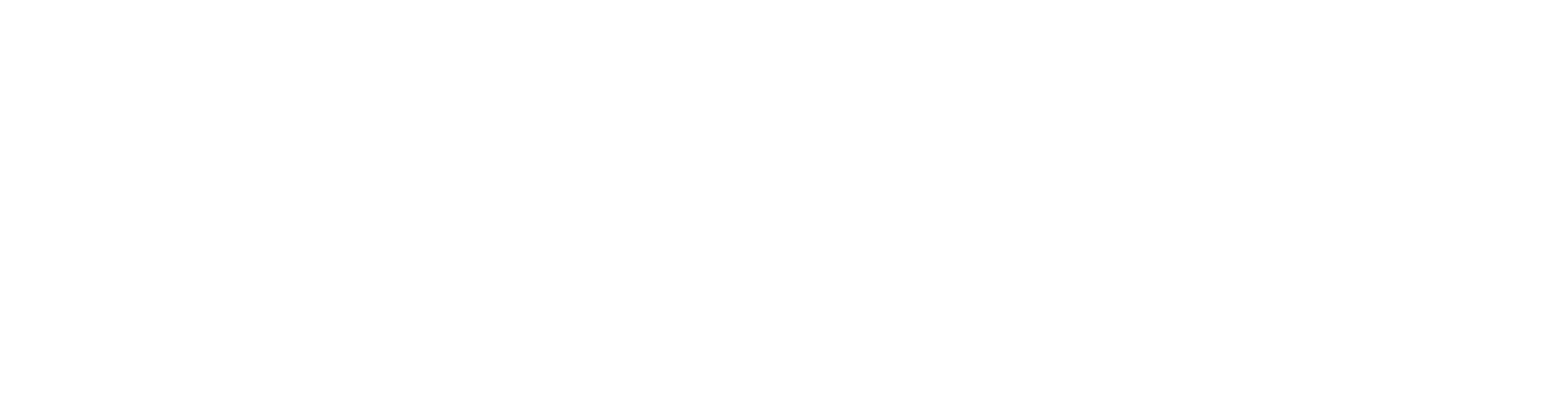 nadim logo monokróm